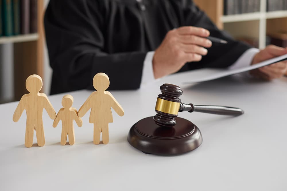 Family Lawyer discussing case of child custody